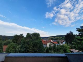 Ferienhaus-Schönwald im Herzen des Schwarzwaldes 2Zimmer-Wohnung mit Dachterrasse und Balkon App 25 - Schönwald - 1