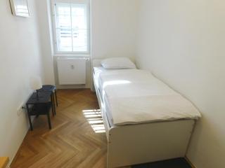 Dream Apartment - Liubliana - 5