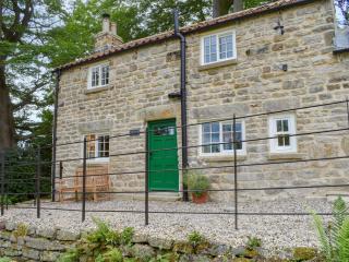 Tiggywinkle Cottage - Hawnby - 1