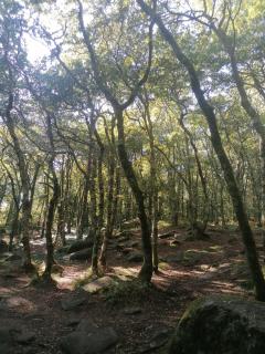 La casita de Meiro - 1