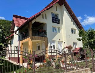 Pensiunea casa Rareș - Curtea de Argeş - 0