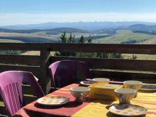 Lama-Gîte-des-Puys T3 Lamadalet, vue sud, terrasse, parking privé - 1