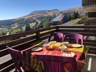 Lama-Gîte-des-Puys T3 Lamadalet, vue sud, terrasse, parking privé - 1