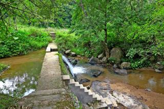 GiriDarshini Homestay - Pool, Falls, 3BH & Estate - Chikmagalūr - 9