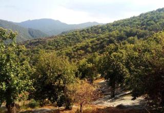 Gîte de Fontfouillouse - 6