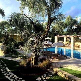 Vassilis Guest House - 9