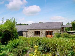 Caffi Sali - Weluk143 - Blaenpenal - 8