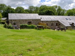 Caffi Sali - Weluk143 - Blaenpenal - 1