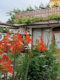 Къща за гости Градината - 3