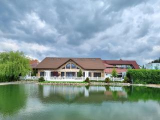 VILA Restaurant Transilvania - Zărneşti - 3