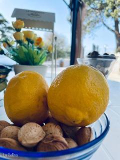 Collina di Girgenti - 3