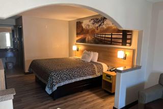 Days Inn & Suites by Wyndham Opelousas - Opelousas - 6