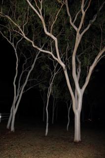 Sunbird Motel - Townsville - 6