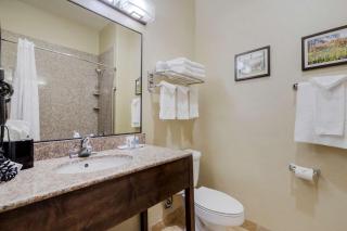 Comfort Suites Pflugerville - Austin North - Pflugerville - 5