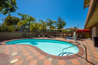 SureStay Plus Hotel by Best Western Mountain View - Mountain View - 7