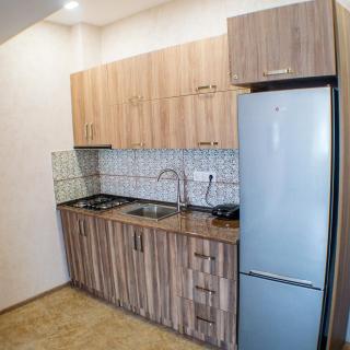 Cozy Apartment in Bakuriani - Bakuriani - 5