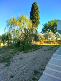 Il salice - Monte San Savino - 5