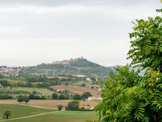 Ca' Mastro Bright Flat with parking - Tavullia - 9