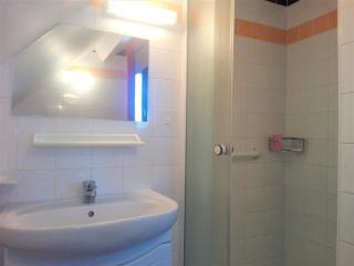 T2 calme, vue ville et lac, animaux admis, parking et climatisation - FR-1-555-42 - Aix-les-Bains - 6