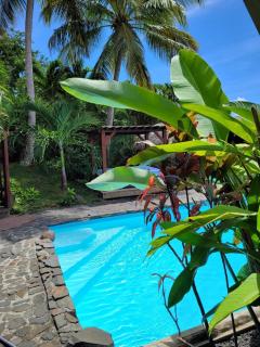 Domaine Karaibes - Deshaies - 6