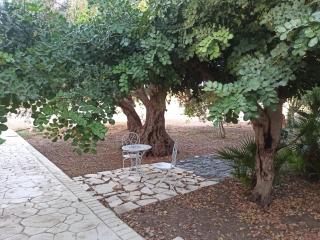 Casa degli Spartani Pina - Scicli - 6