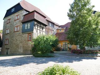 Schloss Goldacker - das Schloss der Gesundheit - Weberstedt - 9
