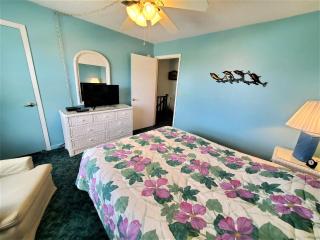 Oasis #18 - Daytona Beach Shores - 2