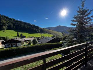 Abricot - Appart dans chalet - La Clusaz - 3