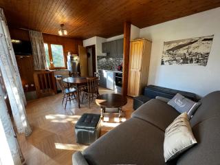 Abricot - Appart dans chalet - La Clusaz - 0