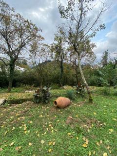 გურული ეზო*Gurian yard - Chala - 4