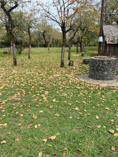 გურული ეზო*Gurian yard - 3