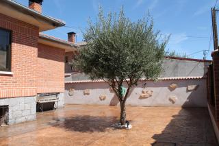 Aire De Pinares - Coca - 3