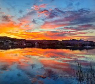 Beach Happy-Lake Close-Private Waterpark Oasis -sleeps 14 - Lake Havasu City - 3
