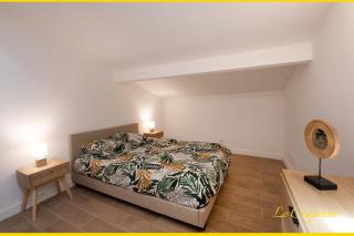 Le Craponne - Magnifique appartement cours principal plein centre avec parking - 5