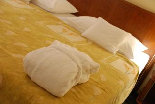 EA Hotel Rokoko - Prague - 7