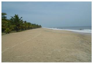 Marari Beach paradise - Mararikulam - 9