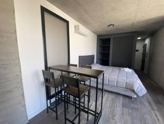 Hermoso monoambiente zona centro Rosario - Rosario - 9