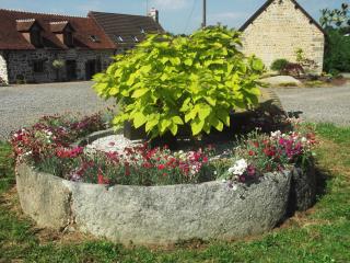 Ferme Cidricole Hugues Desfrièches - Sainte-Marguerite-de-Carrouges - 4