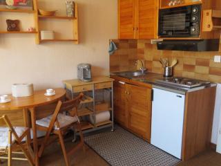 Studio au pied des pistes, 4 pers, animaux admis - FR-1-815-83 - 8