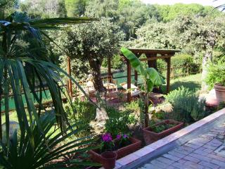 Villa Paradisino - Orbetello - 3