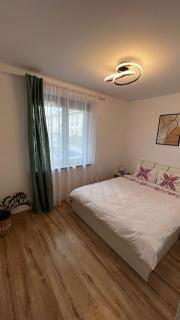Nathallie Modern Apartments - Timişoara - 9
