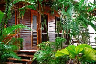 Casa Cayuco Eco-Adventure Lodge - Bocas del Toro - 1