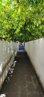 Casa Teresinella Garden - Torre Annunziata - 9