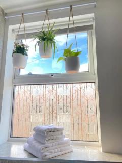 Park Crescent apartment - York - 5