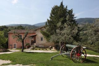 Tenuta San Felice - Giano dellʼUmbria - 5
