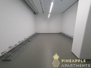 PINEAPPLE APARTMENTS - Altstadt III - 91qm - 1x free parking - Dresden - 0