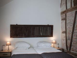 Gîte spacieux avec piscine chauffée, wifi et tennis au bord de la Loire - FR-1-590-97 - Sigloy - 9