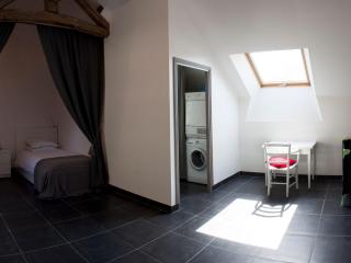 Gîte spacieux avec piscine chauffée, wifi et tennis au bord de la Loire - FR-1-590-97 - Sigloy - 7