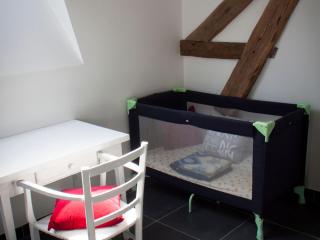 Gîte spacieux avec piscine chauffée, wifi et tennis au bord de la Loire - FR-1-590-97 - Sigloy - 6