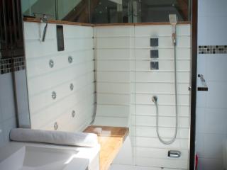 Gîte spacieux avec piscine chauffée, wifi et tennis au bord de la Loire - FR-1-590-97 - Sigloy - 4